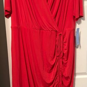 Plus Size 22W London Times Dress